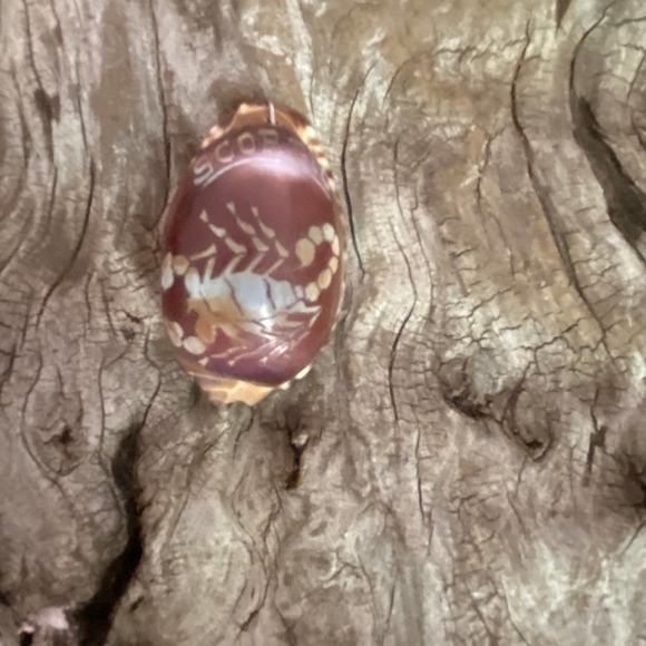 Scorpio Cowrie Shell Necklace Pendant Vintage 70's Etched Beach Souvenir Zodiac - Picture 1 of 7